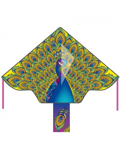 Simple Flyer Peacock