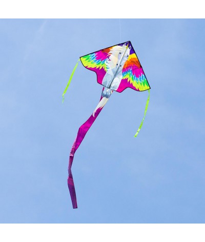 Simple Flyer Pegasus 2