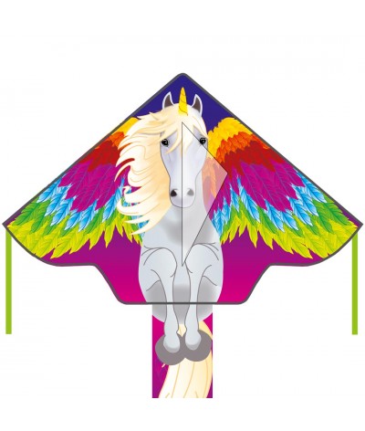 Simple Flyer Pegasus