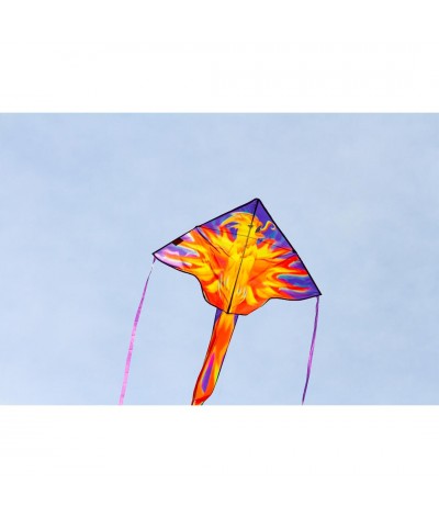 Simple Flyer Phoenix 2