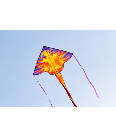 Simple Flyer Phoenix