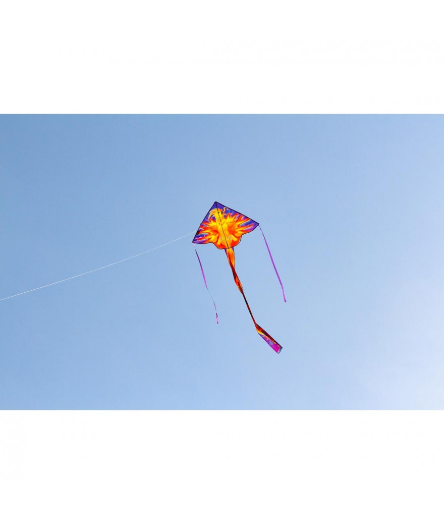 Simple Flyer Phoenix