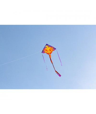 Simple Flyer Phoenix