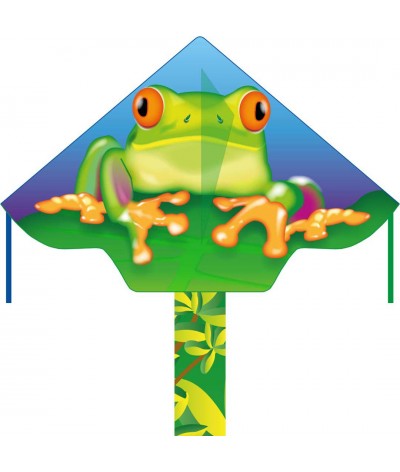 Simple Flyer Froggy