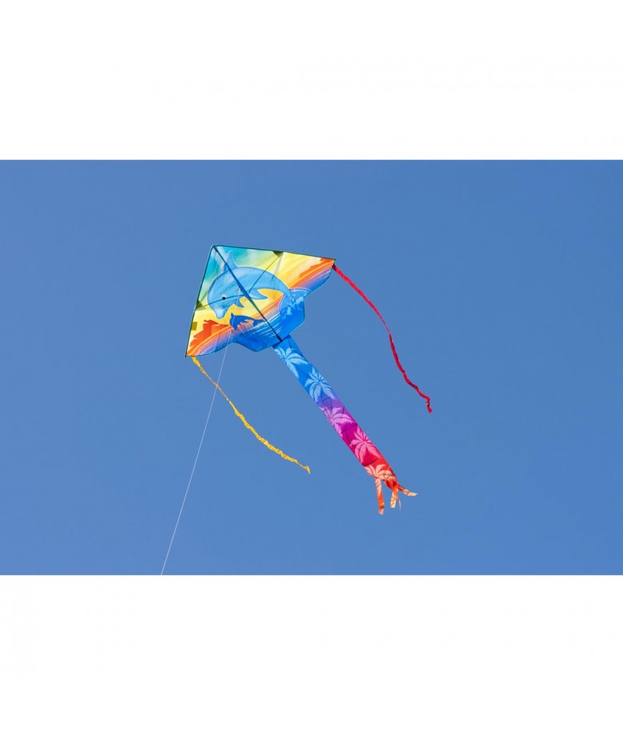 Simple Flyer Dolphin Sunset