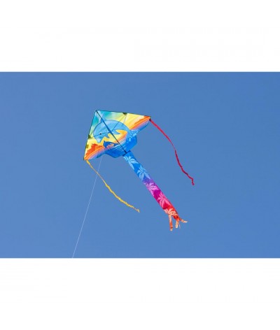 Simple Flyer Dolphin Sunset