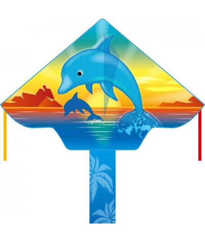 Simple Flyer Dolphin Sunset