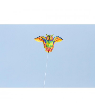 Owl Kite 2