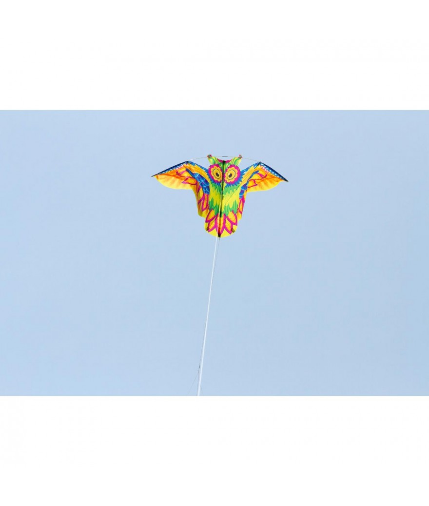 Owl Kite
