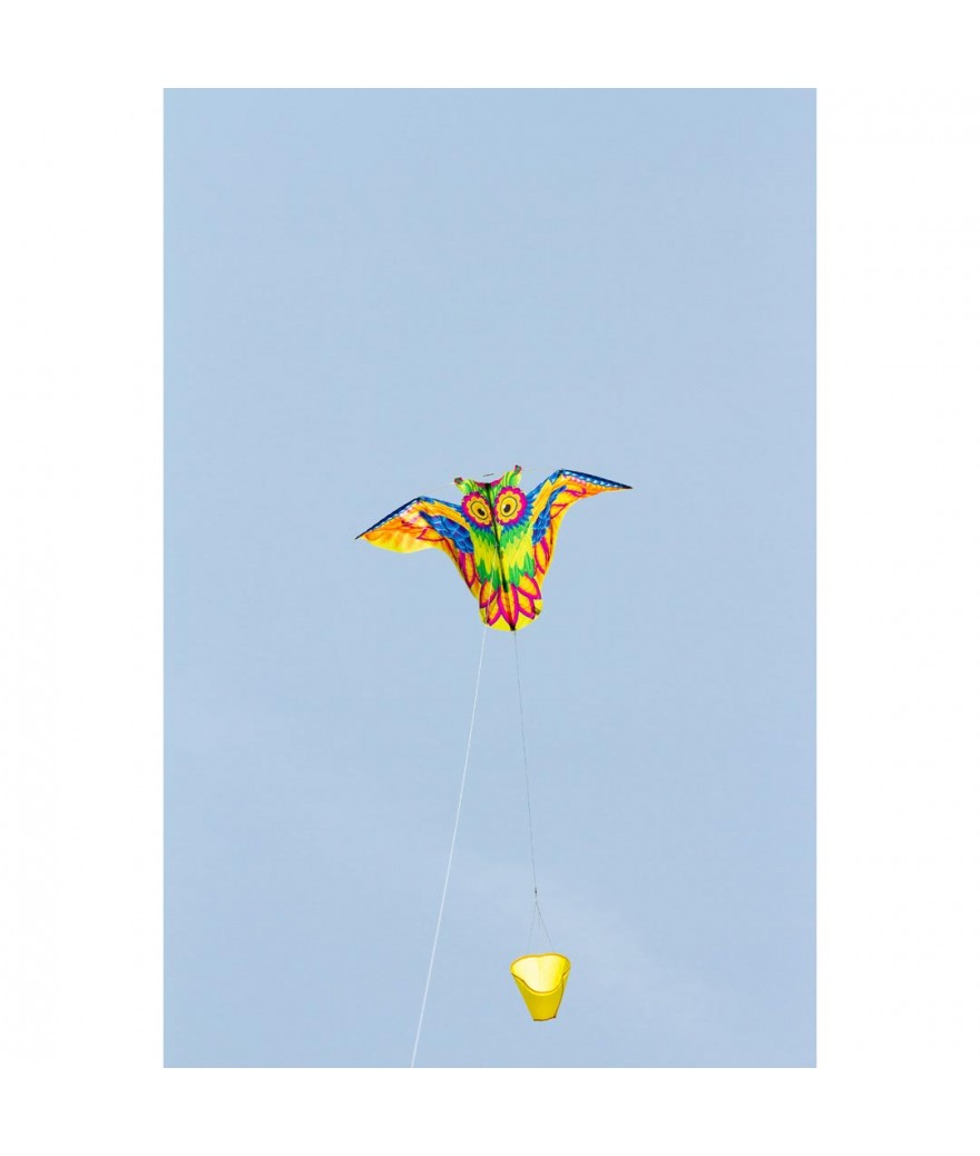 Owl Kite
