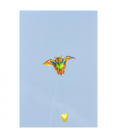 Owl Kite