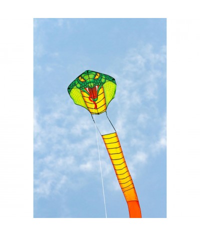 Emerald Cobra Kite 2