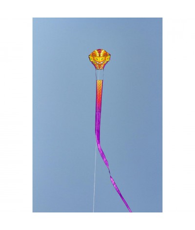 Dragonhead Kite