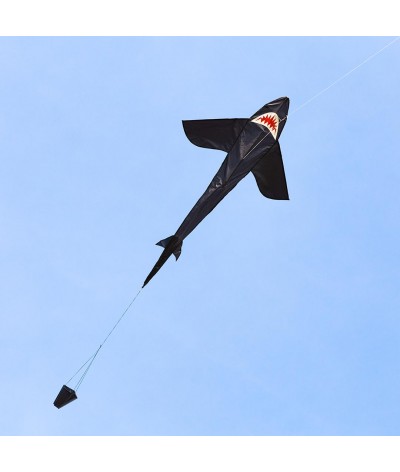 Ecoline Shark Kite 5 2