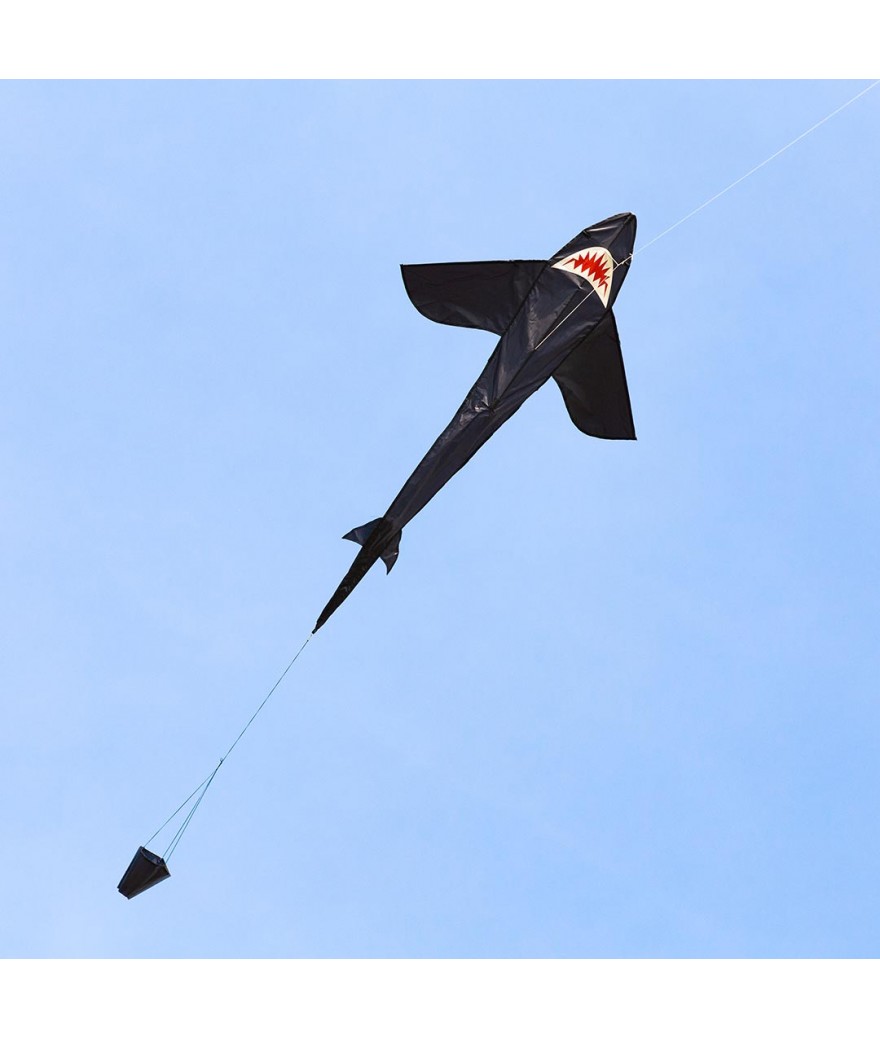 Ecoline Shark Kite 5