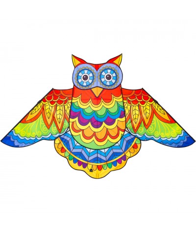 Jazzy Owl Kite