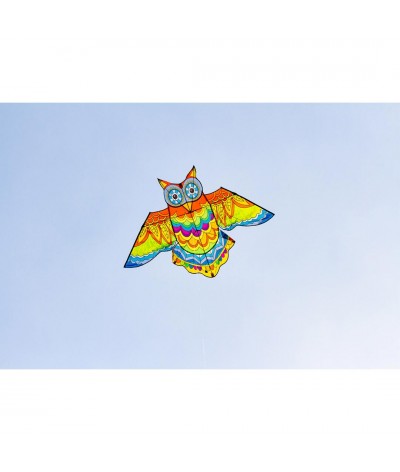 Jazzy Owl Kite 2