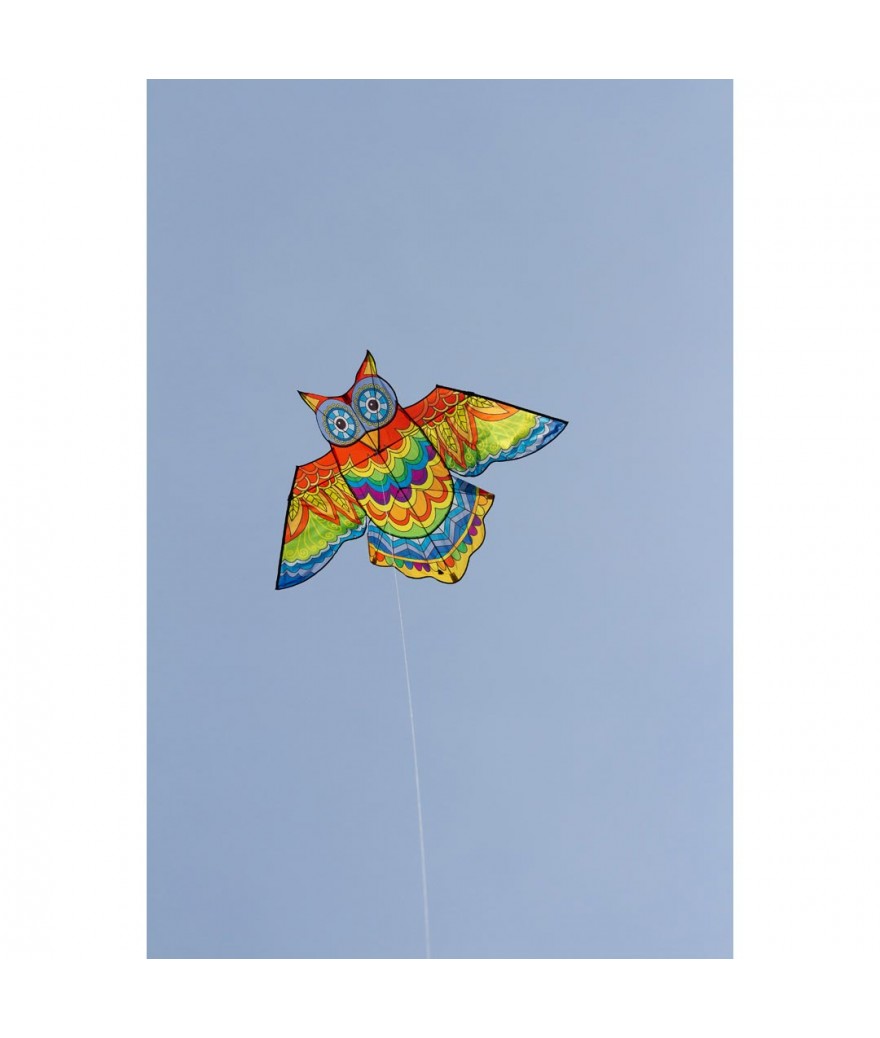 Jazzy Owl Kite