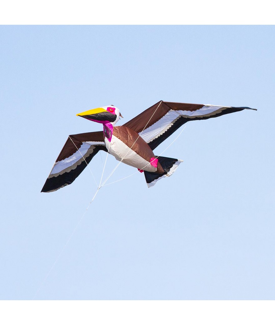 Pelican 3D - eenlijns