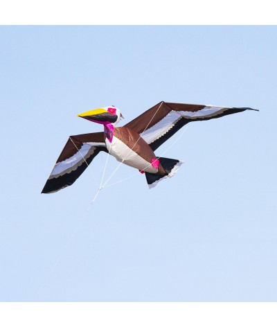 Pelican 3D - eenlijns