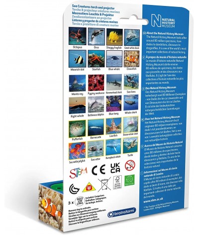 Brainstorm - Sea Creatures Torch and Projector 2