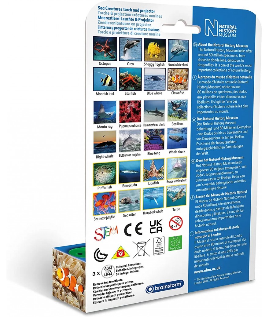 Brainstorm - Sea Creatures Torch and Projector