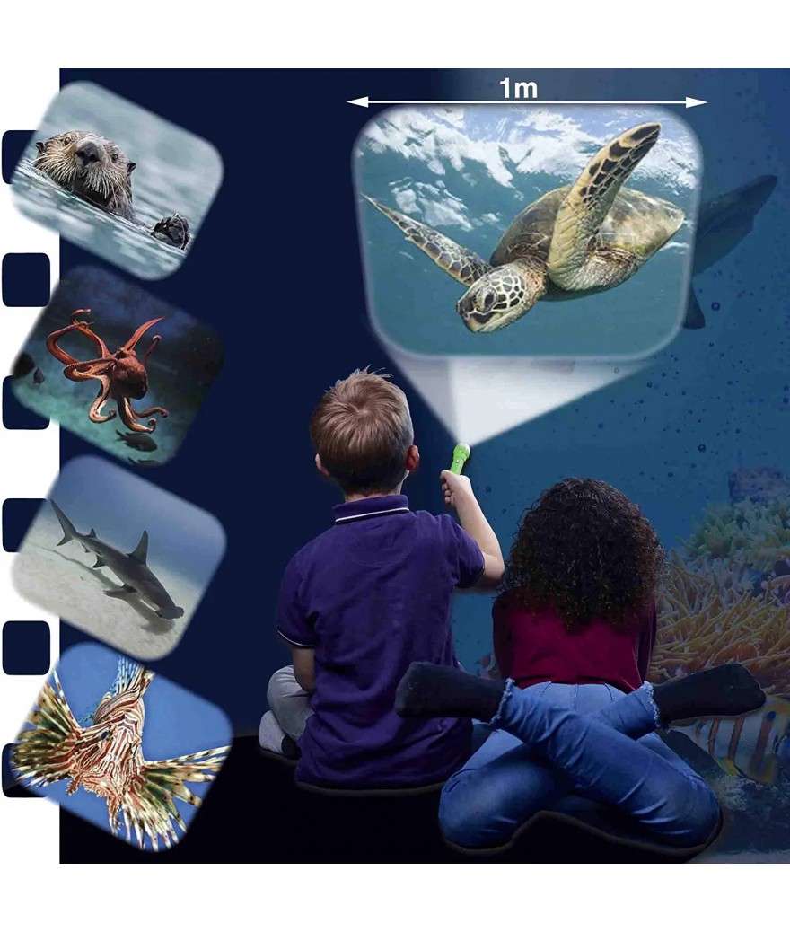Brainstorm - Sea Creatures Torch and Projector