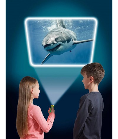Brainstorm - Sea Creatures Torch and Projector