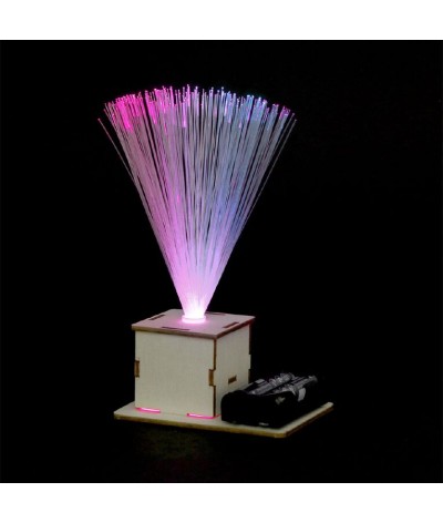 Satzuma - STEM - Wooden Fibre Optic Light 2