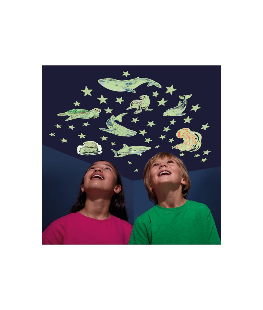 Brainstorm - Glow Stars & Sea Creatures