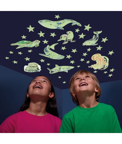 Brainstorm - Glow Stars & Sea Creatures