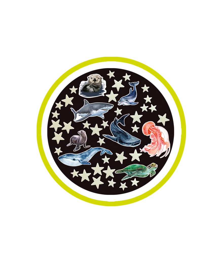 Brainstorm - Glow Stars & Sea Creatures